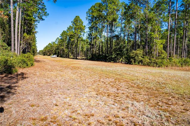 101 THYME DRIVE, Interlachen, FL 32148