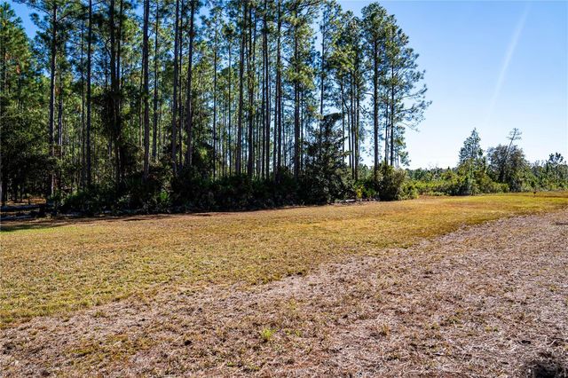 101 THYME DRIVE, Interlachen, FL 32148