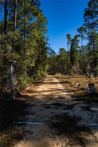 101 THYME DRIVE, Interlachen, FL 32148