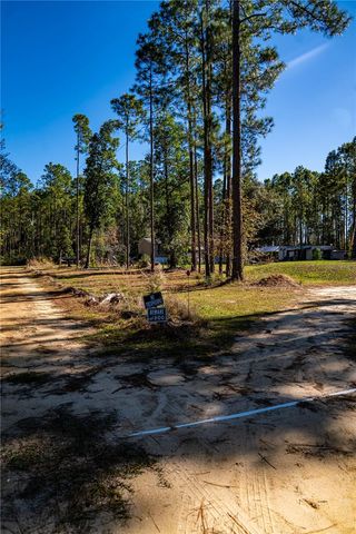 101 THYME DRIVE, Interlachen, FL 32148