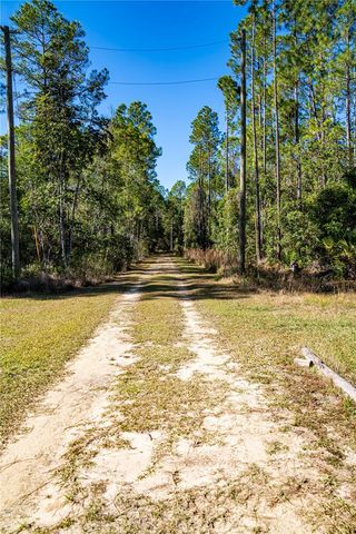 101 THYME DRIVE, Interlachen, FL 32148