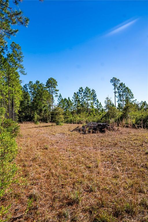 101 THYME DRIVE, Interlachen, FL 32148