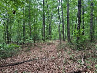 72 Water View Lane, Monteagle, TN 37356