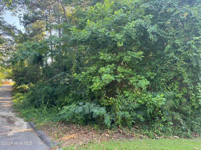 201 Shaw Road, Hamlet, NC 28345