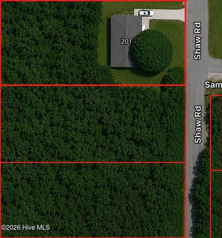 201 Shaw Road, Hamlet, NC 28345