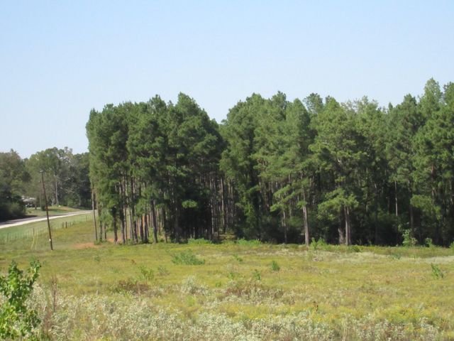 0025 Fm 256 N, Woodville, TX 75979