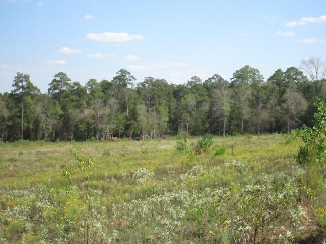 0025 Fm 256 N, Woodville, TX 75979