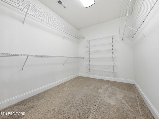 2017 Emma Lane, Maryville, TN 37803