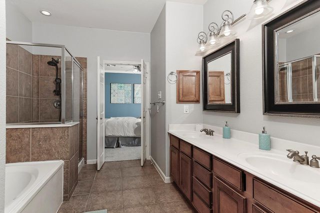 43 Crocus Petal Street, The Woodlands, TX 77382