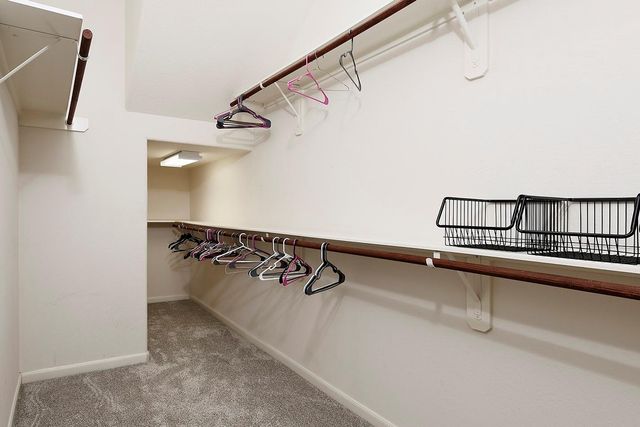 43 Crocus Petal Street, The Woodlands, TX 77382