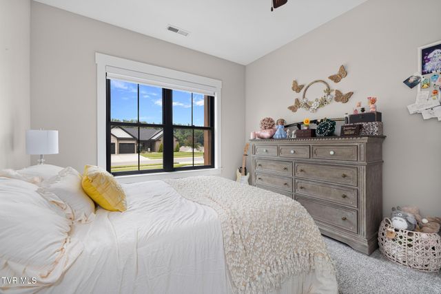 1118 Brumit Field, Johnson City, TN 37615