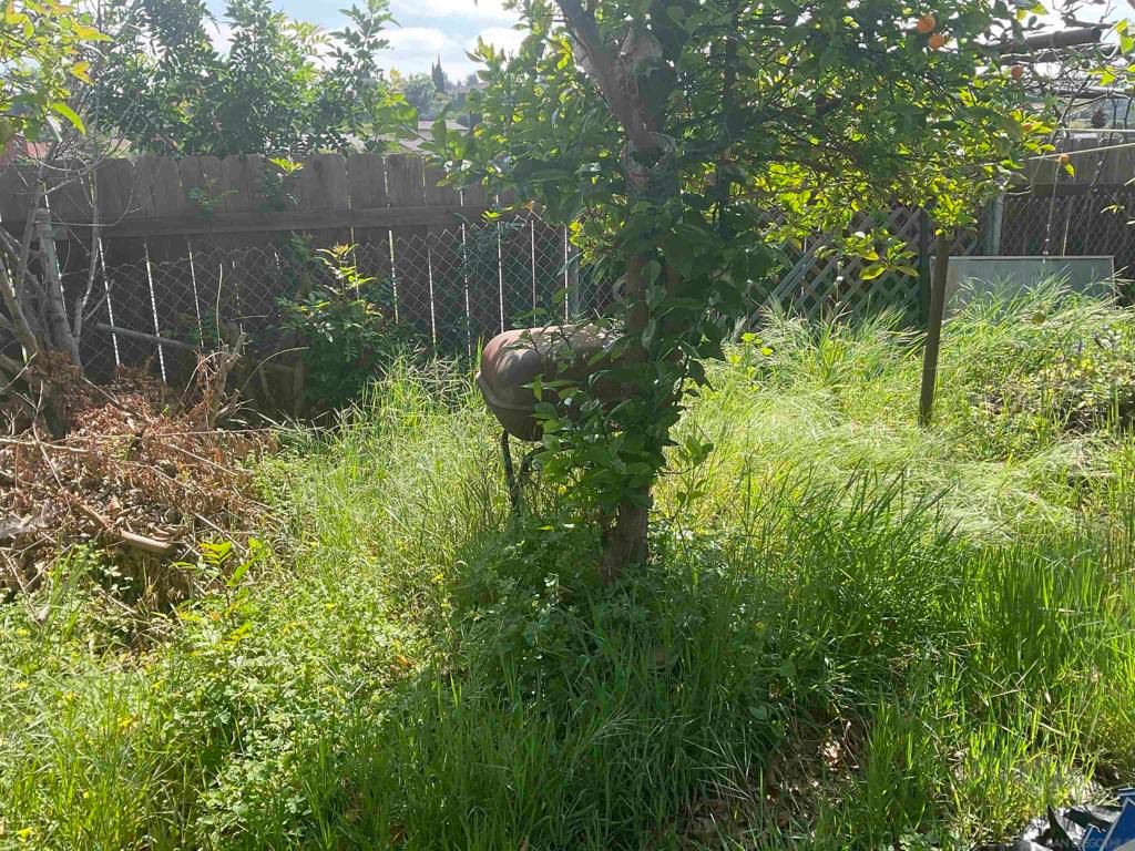 Image 7 of property listing at 6197 Daisy Pl, San Diego, CA 92114