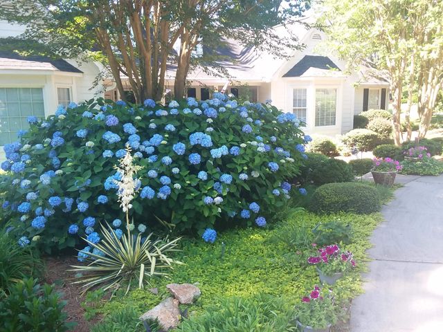 1200 Shoresbrook Road, Spartanburg, SC 29301