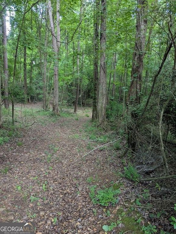 2773 River Road, Ellenwood, GA 30294 — exterior