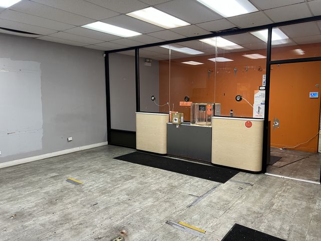 1315 E 87th Street, Chicago, IL 60619