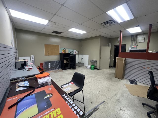 1315 E 87th Street, Chicago, IL 60619