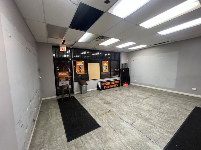 1315 E 87th Street, Chicago, IL 60619