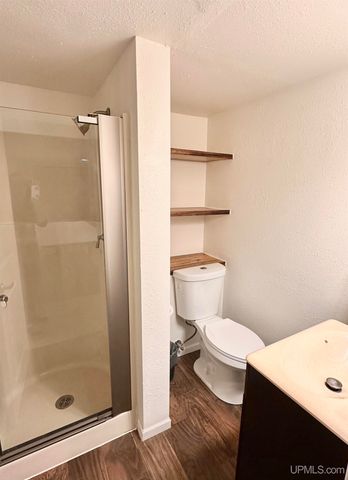 1508 S Grant Street, Iron Mountain, MI 49801