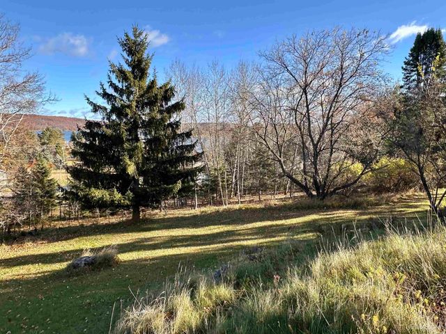 1508 S Grant Street, Iron Mountain, MI 49801