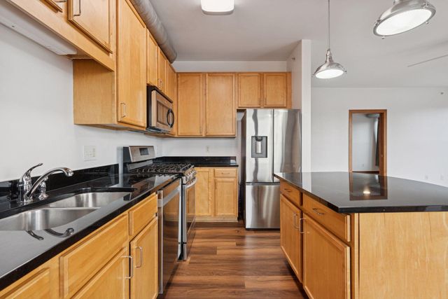 15 E Franklin Avenue 306, Minneapolis, MN 55404