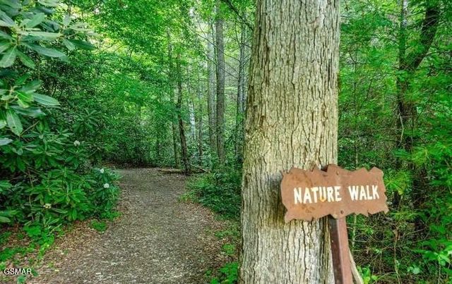 2910 Piney Ridge Way, Sevierville, TN 37862