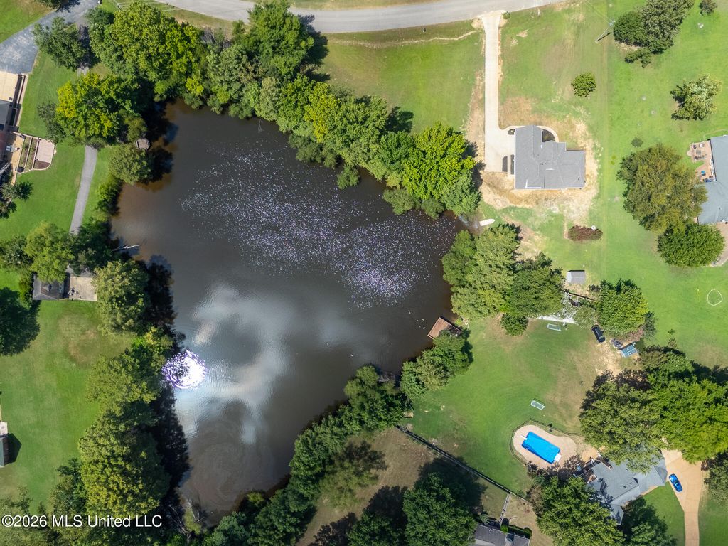 8690 Hunters Run Drive, Olive Branch, MS 38654 — photo 4