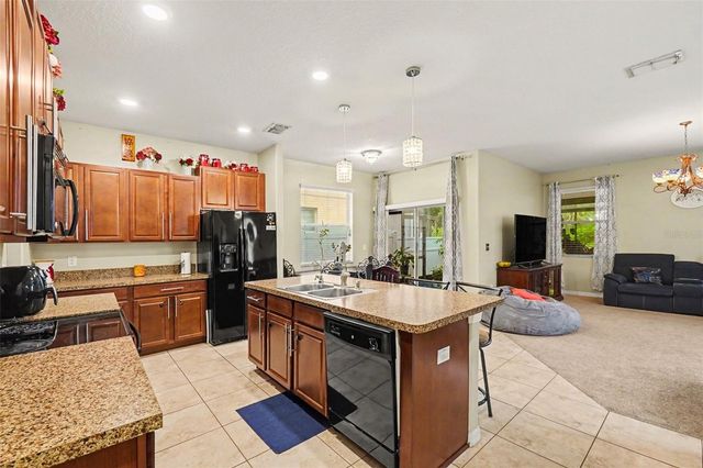 11334 VILLAS ON THE GREEN DR, Riverview, FL 33579