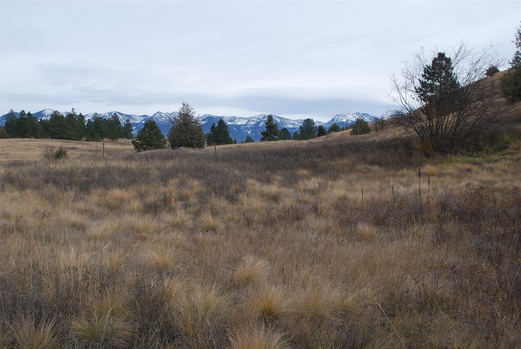 NHN Claffey Drive, Polson, MT 59860 photo 3