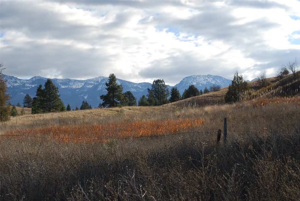NHN Claffey Drive, Polson, MT 59860 photo 7