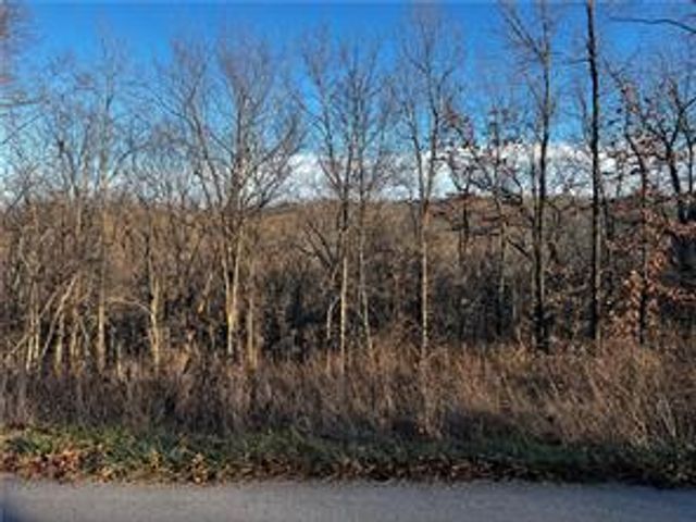 Selkirk Drive, Bella Vista, AR 72715