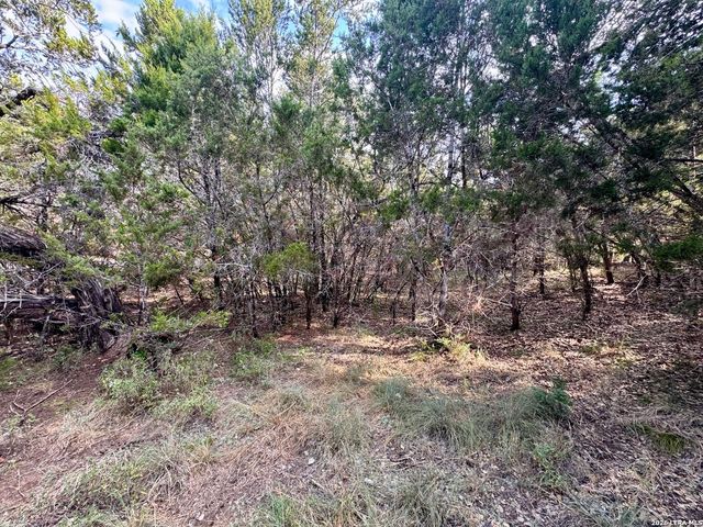 462 W OVERLOOK DR, Canyon Lake, TX 78133