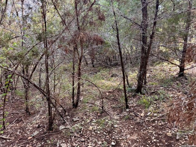 462 W OVERLOOK DR, Canyon Lake, TX 78133