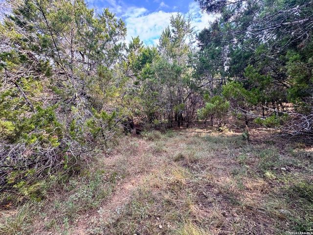 462 W OVERLOOK DR, Canyon Lake, TX 78133