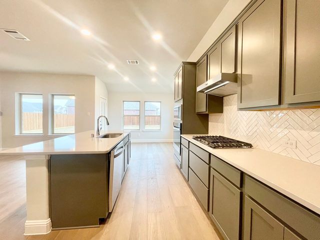 13705 Riola Drive, Little Elm, TX 75068