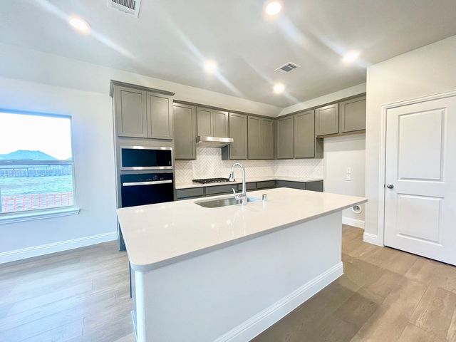 13705 Riola Drive, Little Elm, TX 75068