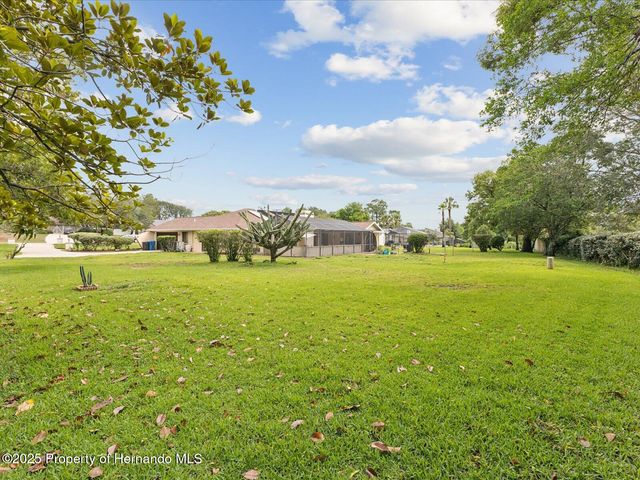 8393 Delaware Drive, Weeki Wachee, FL 34607