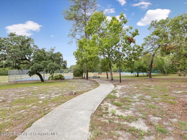 8393 Delaware Drive, Weeki Wachee, FL 34607