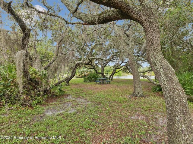 8393 Delaware Drive, Weeki Wachee, FL 34607