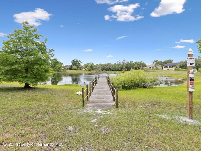 8393 Delaware Drive, Weeki Wachee, FL 34607