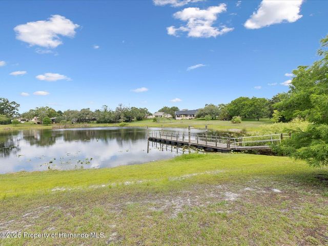 8393 Delaware Drive, Weeki Wachee, FL 34607