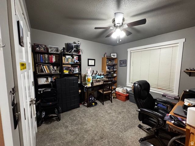 729 E 480 N, Hyde Park, UT 84318