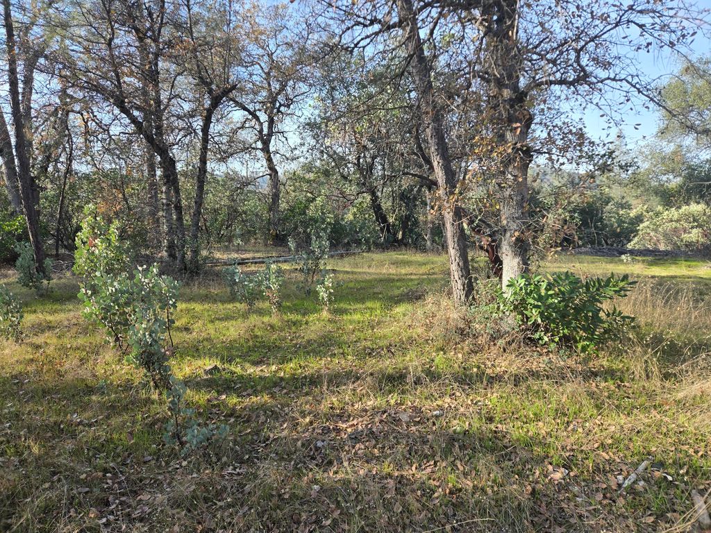 Lake Boulevard, Redding, CA 96002