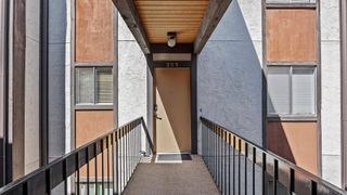 3150 Lakeside Dr Apt 205, Grand Junction, CO 81506