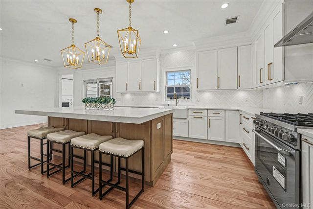 27 Grape Lane, Hicksville, NY 11801