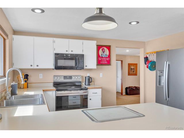 37 Warm Springs Rd, Fairplay, CO 80440