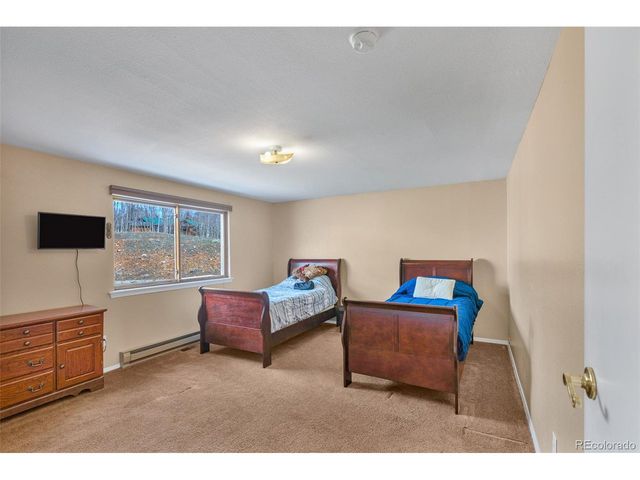 37 Warm Springs Rd, Fairplay, CO 80440