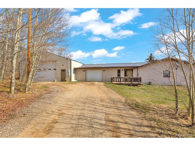 37 Warm Springs Rd, Fairplay, CO 80440