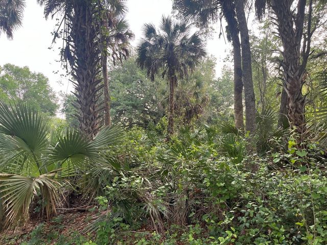 15148 NW 288th Street, Okeechobee, FL 34972