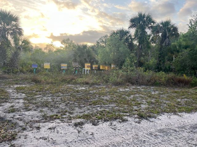 15148 NW 288th Street, Okeechobee, FL 34972