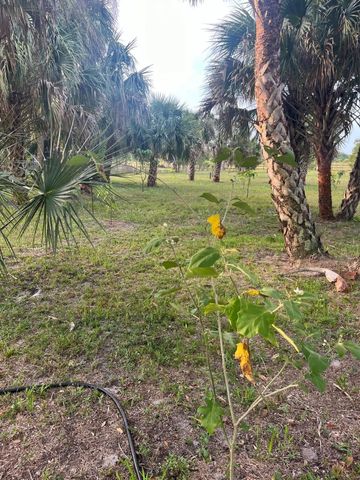 15148 NW 288th Street, Okeechobee, FL 34972